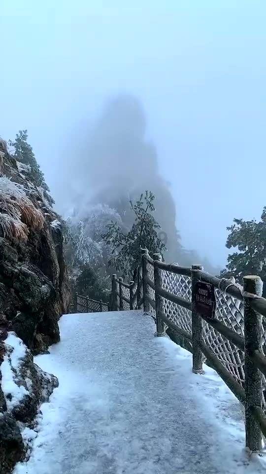 救援摄影师男孩