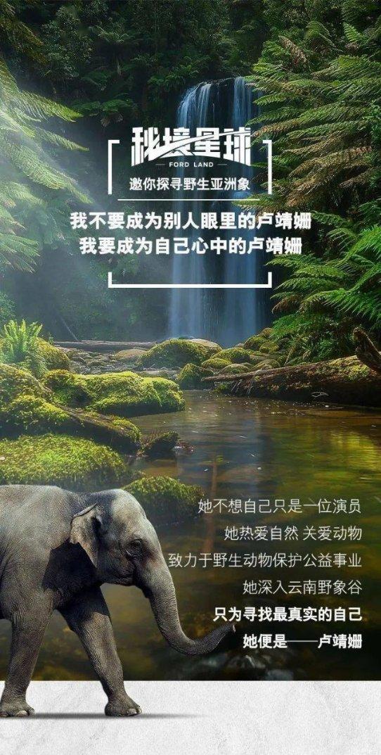 12星座里名气最大的星座是哪一个?知识问答网页-专业解答,快速获取知识答案