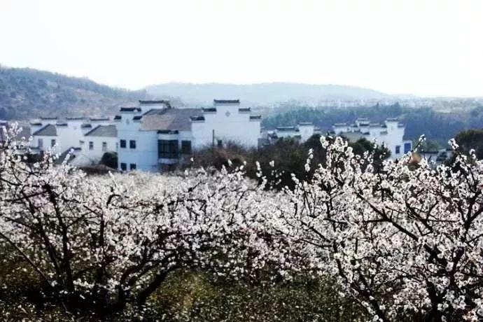 探索蜗牛世界，尽享电脑微软账户登不上去问答乐趣