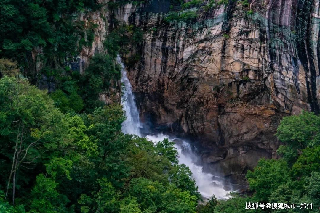 孤独的流浪者救援